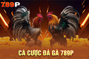 Ảnh đại diện bài viết giới thiệu đá gà 789P